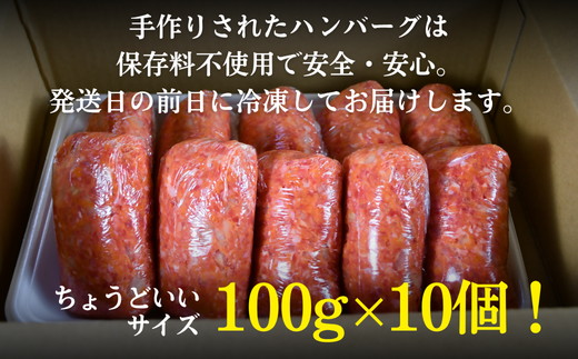 松阪牛 生ハンバーグ 1kg ( 100g ✕ 10個 )【1-439】