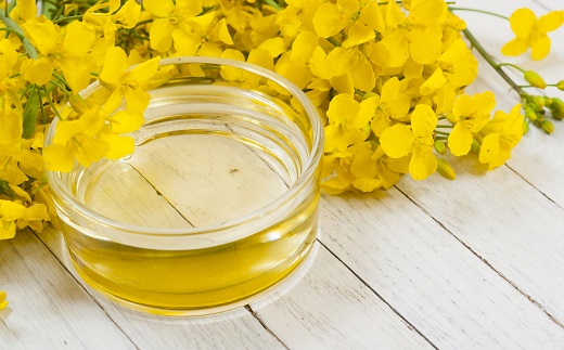 キャノーラ油　約13kg（1,650ｇ×8本）【002140】