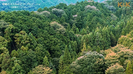 【1.8-5】缶つま極　三重県産エスカルゴ・ド・ブルゴーニュ