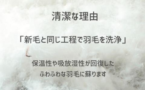 【10-69】ザ・羽毛布団 リサイクルダウン ロイヤルグリーン シングル 150×210cm リサイクルホワイトダックダウン70％ 羽毛 掛け布団 立体キルト　251-000370-20