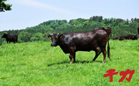 【10-28】松阪牛焼肉セット（ホルモン・赤身カルビ・ロース）