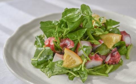 【1-224】はぜのクレソンと里山の恵みセット（11月～4月発送）