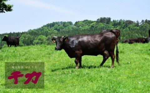 【3-7】松阪肉焼肉用