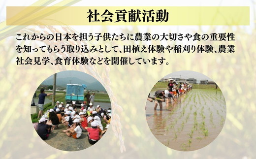 コシヒカリ＜特別栽培米＞精米 5㎏（減農薬 有機肥料 お米 米 おこめ こめ 白米 こしひかり 令和7年産）【002309】