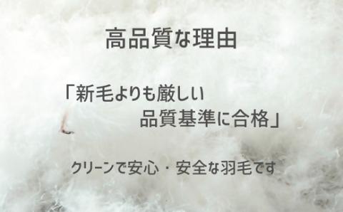【10-69】ザ・羽毛布団 リサイクルダウン ロイヤルグリーン シングル 150×210cm リサイクルホワイトダックダウン70％ 羽毛 掛け布団 立体キルト　251-000370-20