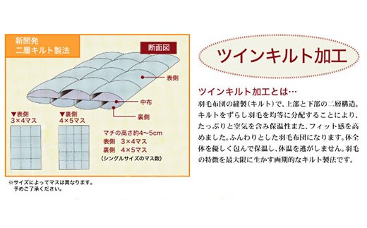 【18-9】ザ・羽毛布団 エクセルゴールドラベル クイーン 210×210cmイングランド産ホワイトダックダウン90％ 日本羽毛製品共同組合品質推奨ラベル付き 羽毛 掛け布団 ツインキルト【251-000053-10】