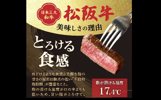 松阪牛 A5 シャトーブリアンステーキ 240g（120g×2枚）【4.8-3】