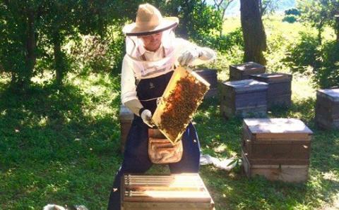 【002206】国産はちみつ3本セット