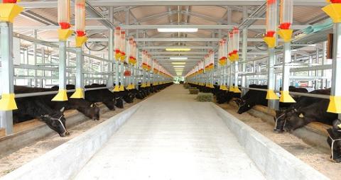 【1-371】家庭用松阪牛小間切れ600g（便利な小分け済み）