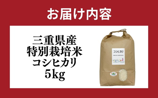 コシヒカリ＜特別栽培米＞精米 5㎏（減農薬 有機肥料 お米 米 おこめ こめ 白米 こしひかり 令和7年産）【002309】