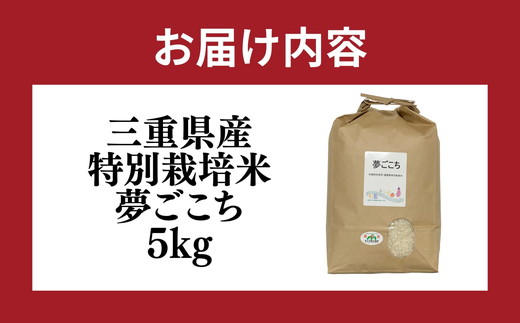 夢ごこち＜特別栽培米＞精米 5㎏（減農薬 有機肥料 お米 米 おこめ こめ 白米 ゆめごこち）【002313】