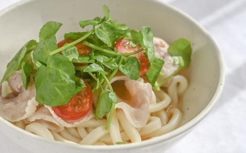 【1-224】はぜのクレソンと里山の恵みセット（11月～4月発送）