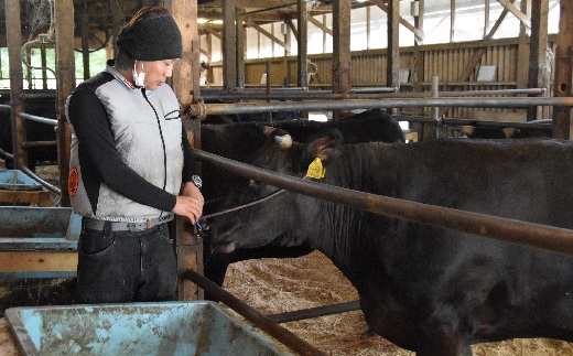 【000930_1】松阪牛　ステーキ（モモ）400g(約200g×2枚)