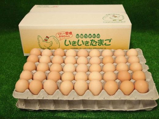 【1.3-36】【卵】松阪うまれのいきいきたまご（90個入り（割れ補償含む））