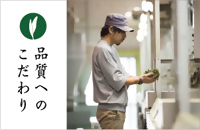 【1-429】深蒸し茶　7本セット　ＫＲ-3