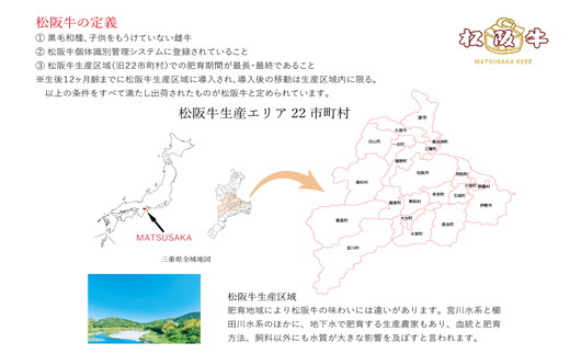 【2.4-8】松阪牛ハンバーグ140ｇ×10個入