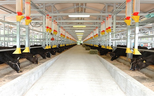 【6.6-1】【12月31日受付終了！翌年4～9月の月1回合計6回の定期便】家庭用松阪牛小間切れ200ｇ×4Ｐ