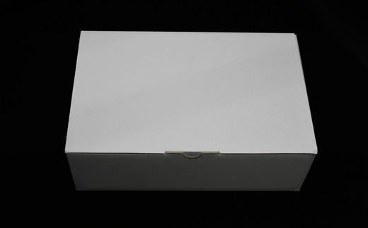 松阪牛生ハンバーグ×10個（冷凍）（国産 おかず 冷凍 牛肉 ハンバーグ）【002135】