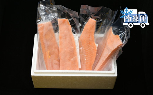 トラウトサーモン プレミアムグレード 700g（刺身 サーモン 冷凍 鮭 トラウトサーモン 寿司 海鮮 炙り カルパッチョ マリネ）【002269】