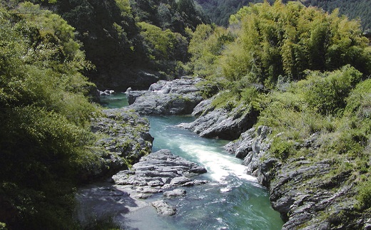 【1-428】深蒸し茶ﾃｨｰﾊﾞｯｸﾞセット KT-3