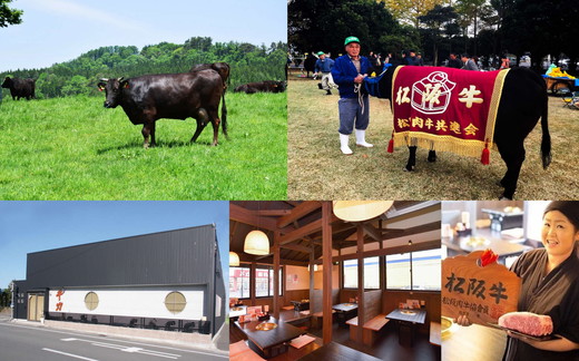 【9.5-2】松阪牛厚切りステーキ３００ｇ×２