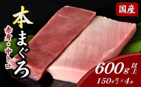 【2-134】国産本まぐろ中トロ赤身冷凍短冊セット　600g以上