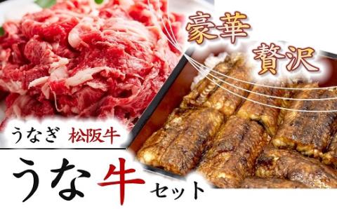 【2-140】【数量限定】豪華！松阪牛と鰻の贅沢うな牛セット