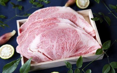 【5-30】松阪牛焼肉ロース　600g