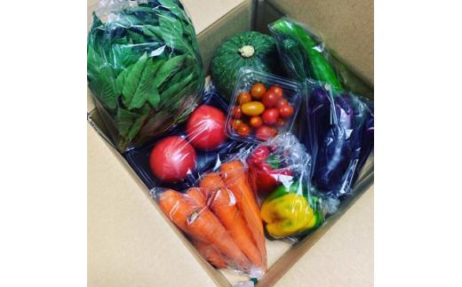 三重県鈴鹿市産　旬の野菜セット　大満足10種類