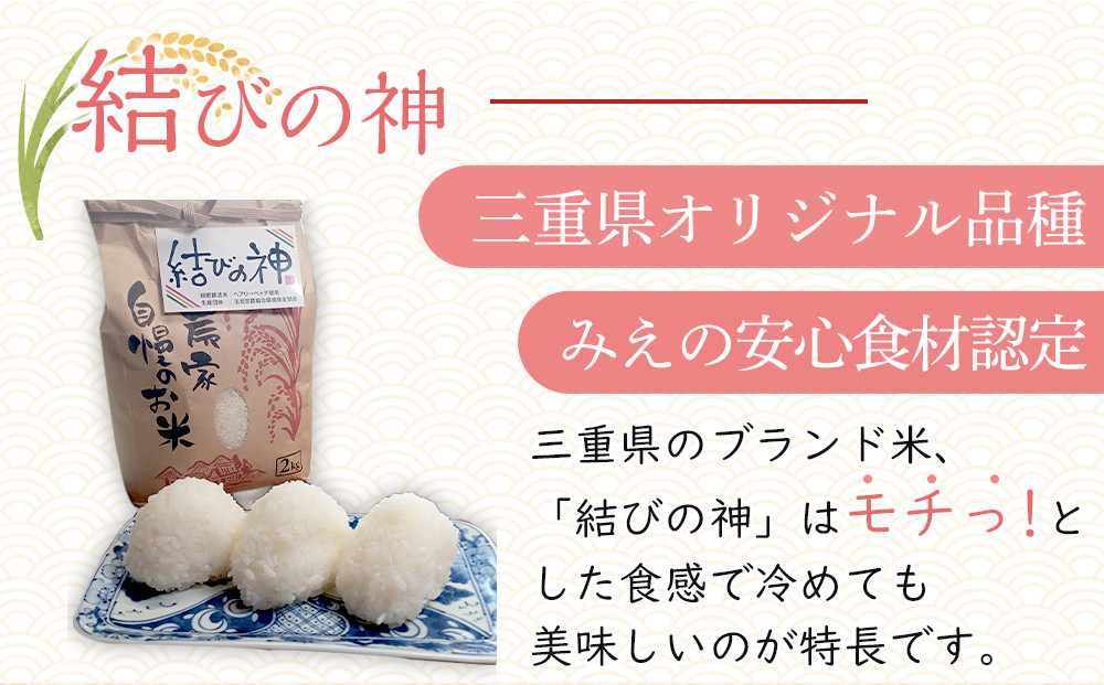 【先行予約】R7年産 白米 食べ比べ3種「結びの神」「コシヒカリ」「にじのきらめき」各3kg×3　合計9kg