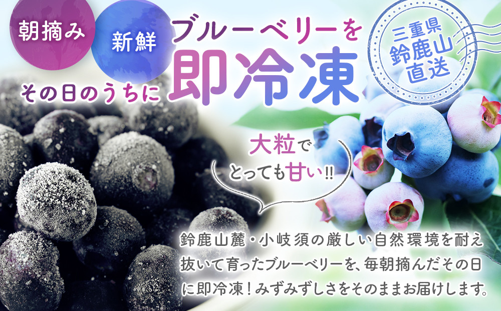 鈴鹿山麓ブルーベリー(冷凍) 200g×4パック