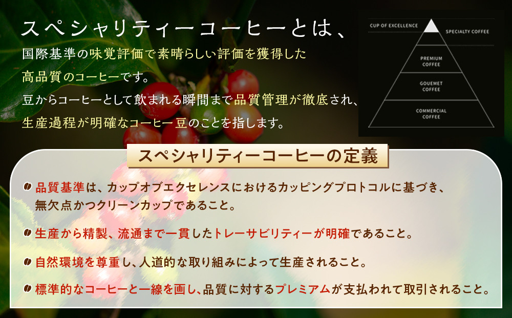 SEROWcoffee厳選 スペシャリティーコーヒー豆詰め合わせセット 6種×100g【粗挽き】