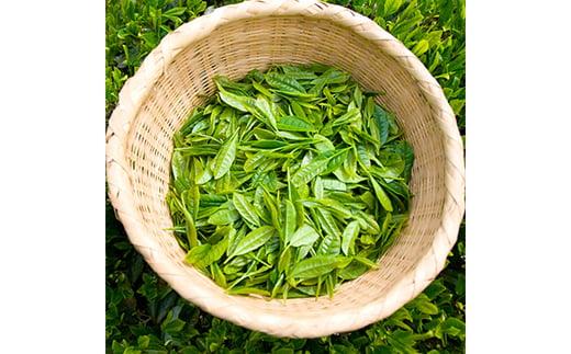 鈴鹿山麓　減糖番茶(ティーバッグ10袋セット)