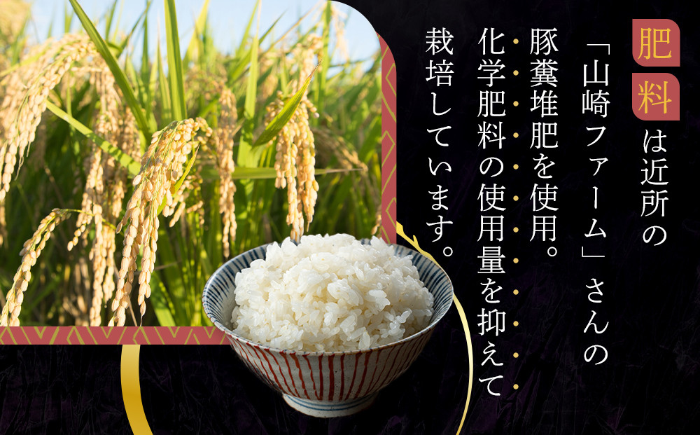 新米！ 白米 にじのきらめき5kg