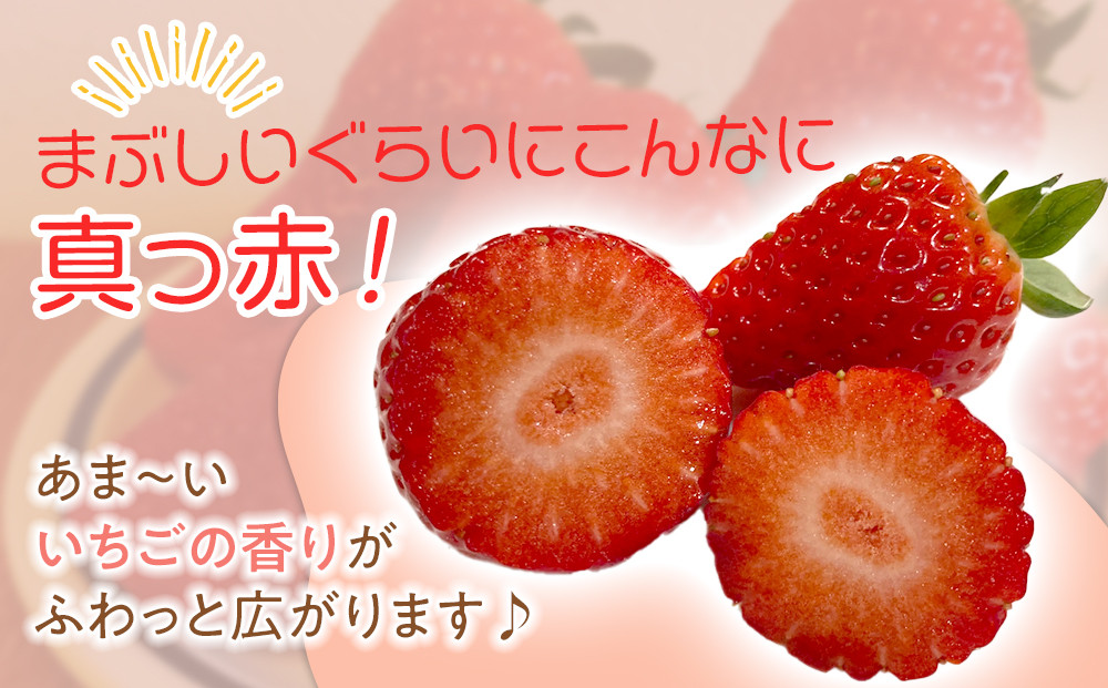 【先行予約】2026冬いちご　よつぼし　250g×4　１粒約30g