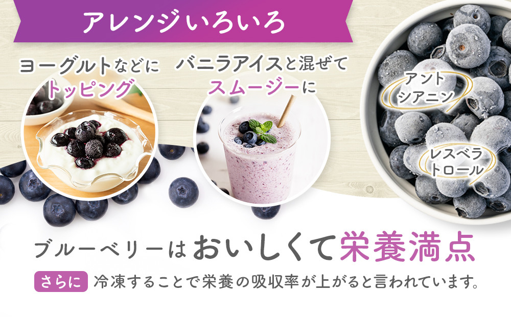 鈴鹿山麓ブルーベリー(冷凍) 200g×4パック