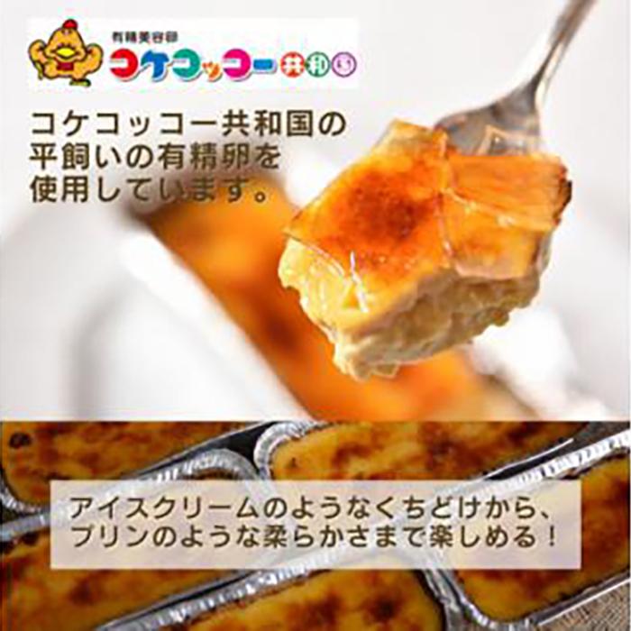 ＜外はパリっ、中は濃厚＞カタラーナ2個セット