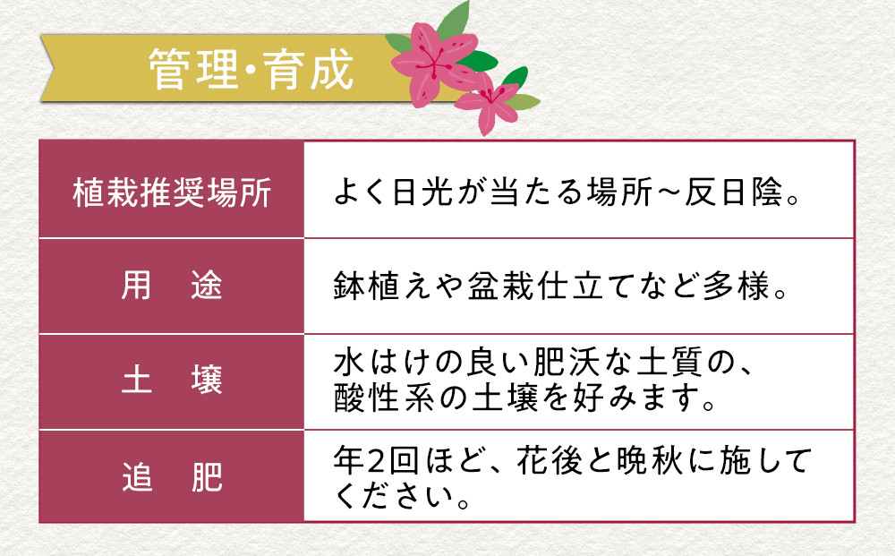 特産品の サツキツツジ大盃 4本セット