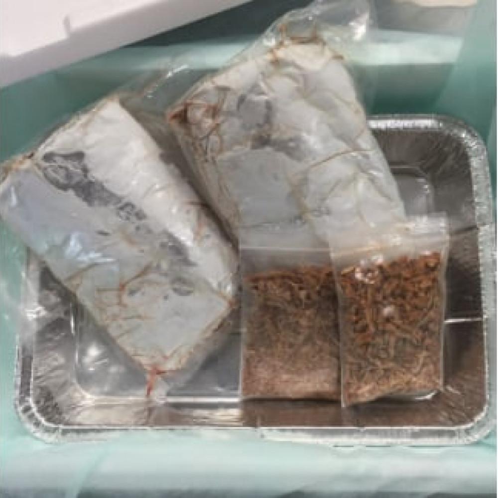 味付きバックリブ(ガーリックスパイス)約400g×2p・追いスモーク(燻製)セット付