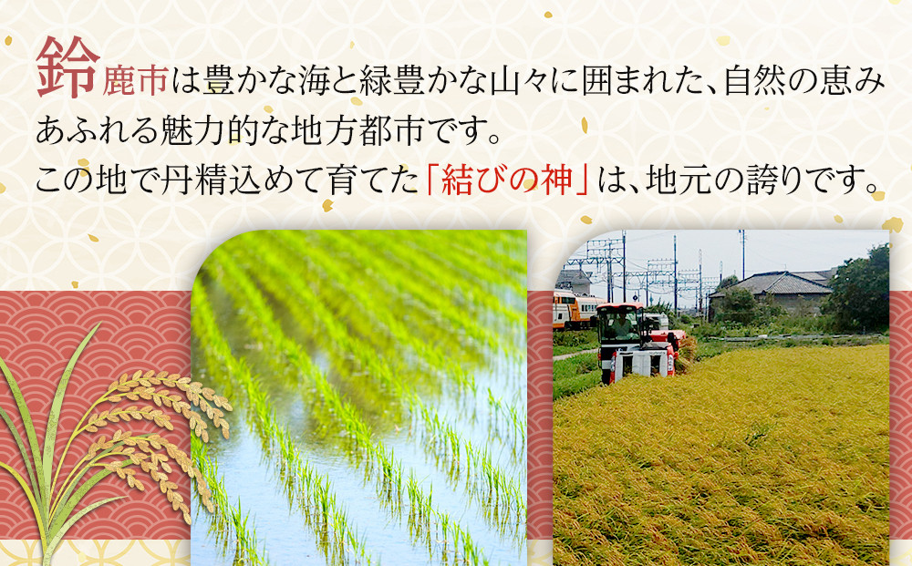 【先行予約】R7年産 白米 結びの神　5kg　三重県オリジナル品種