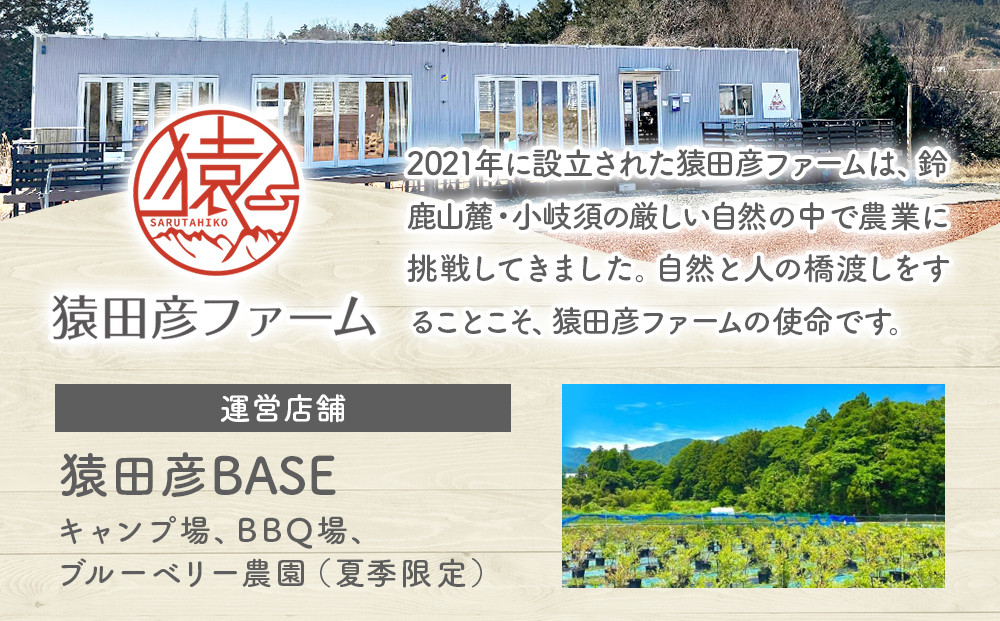 鈴鹿山麓ブルーベリー(冷凍) 200g×4パック