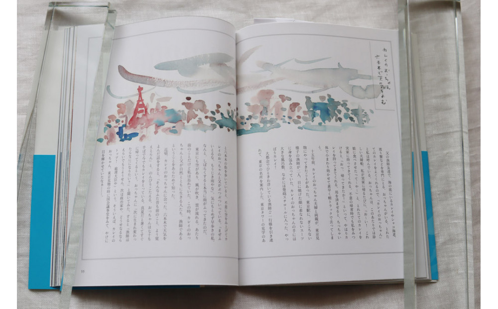 教科書掲載「いのちをつなぐ海のものがたり」と、美しいポストカード3枚セット♪