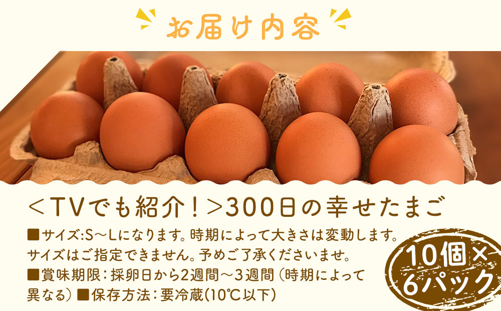 【12/15までの申込で年内にお届け！】＜TVでも紹介！＞鈴鹿市の「300日の幸せたまご」 10個×6パック