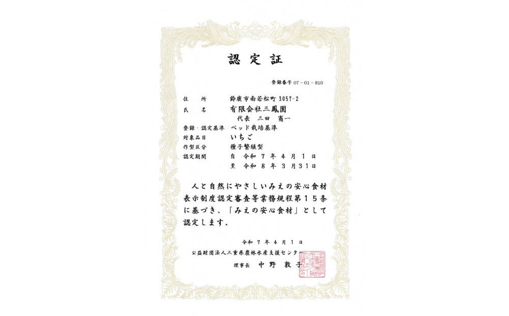 【先行予約】2026年1月　よつぼし いちご　200g×4