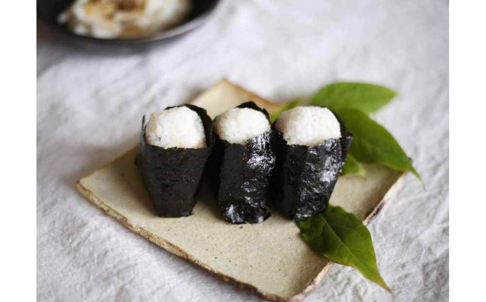 【初めての方におすすめ】子供たちに大人気！「やだのり40枚」と教科書掲載『いのちをつなぐ海のものがたり』のお得なセット♪