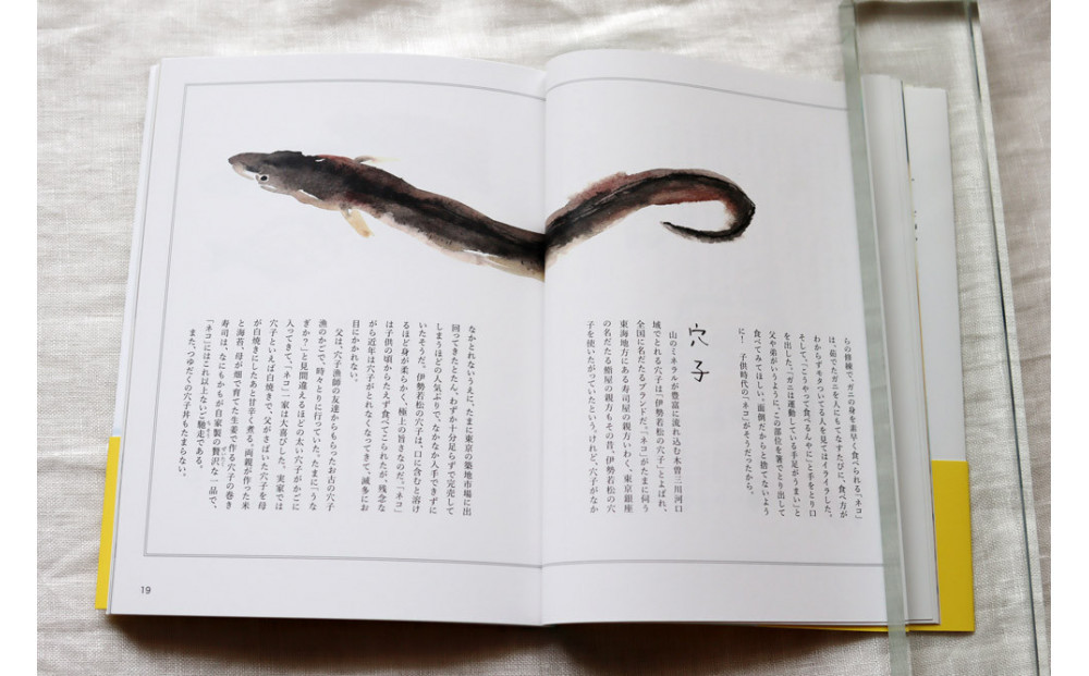 続「いのちをつなぐ海のものがたり」と、美しいポストカード3枚セット♪