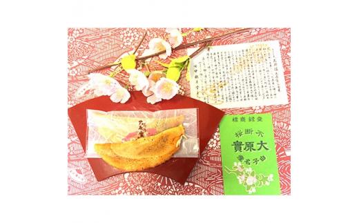 不断桜大原實 20個入