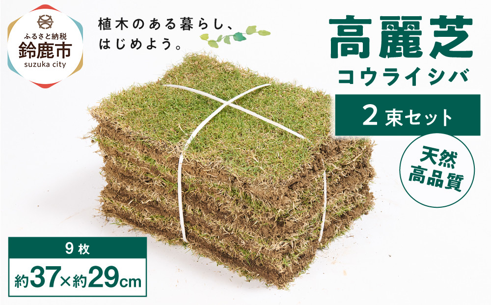 天然　高品質　高麗芝(コウライシバ)　2束セット(約2平方メートル分)