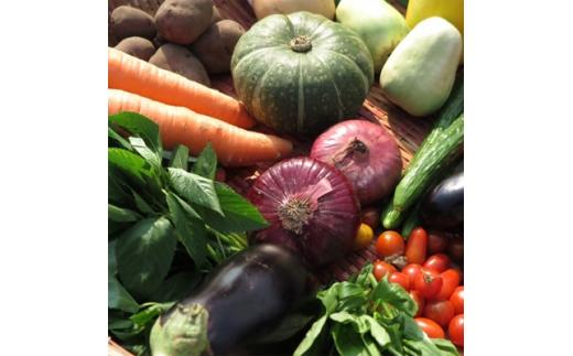三重県鈴鹿市産　旬の野菜セット　大満足10種類