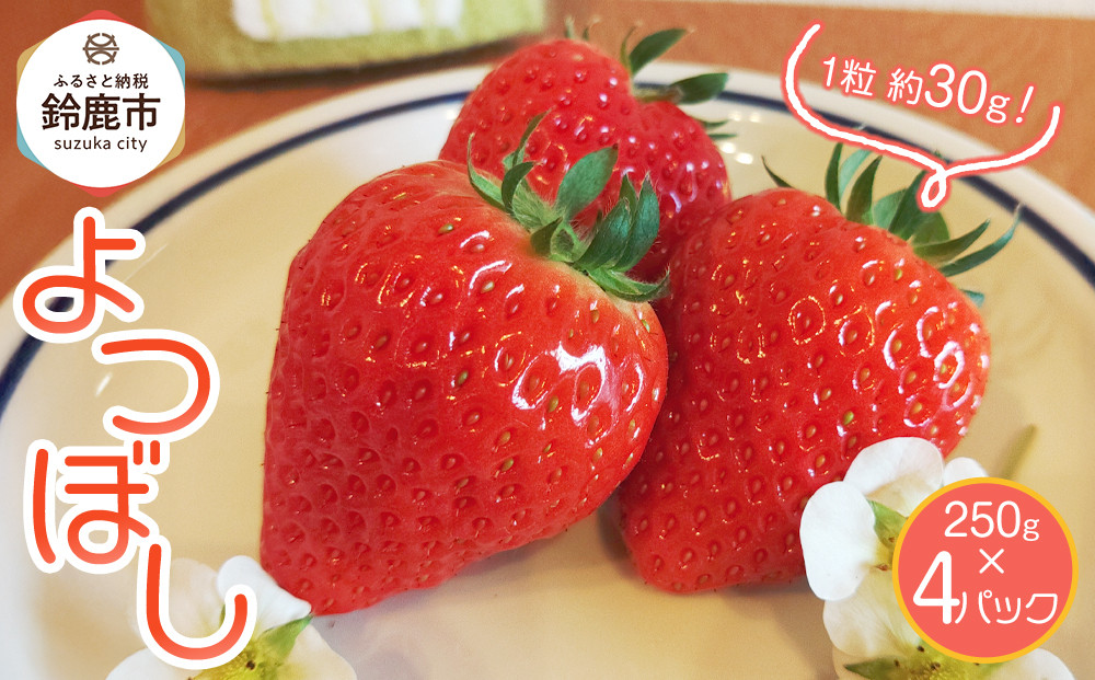 【先行予約】2026冬いちご　よつぼし　250g×4　１粒約30g